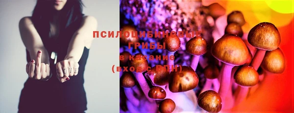 шишки Армянск